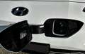 Hyundai KONA EV Prime+ Dachlackierung Weiß - thumbnail 10
