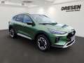 Ford Kuga Active X PHEV elektr. Heckklappe/Navi/AGR-Memory S Grün - thumbnail 3