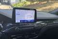 Ford Focus Focus 2.3 EcoBoost 280 CV 5p. ST Naranja - thumbnail 11