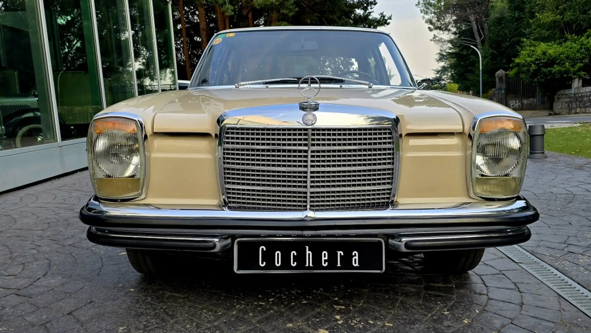 Mercedes-Benz 250C Coupé Kahverengi - 2