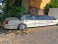 Lincoln Town car limousine Wit - thumbnail 3