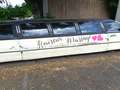 Lincoln Town car limousine Wit - thumbnail 8