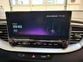Kia XCeed Xceed 1,6 CRDI 48V Gold Rot - thumbnail 10
