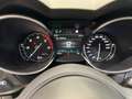 Alfa Romeo Stelvio 2.2 Turbodiesel 210 CV AT8 Q4 Ti Bianco - thumbnail 9