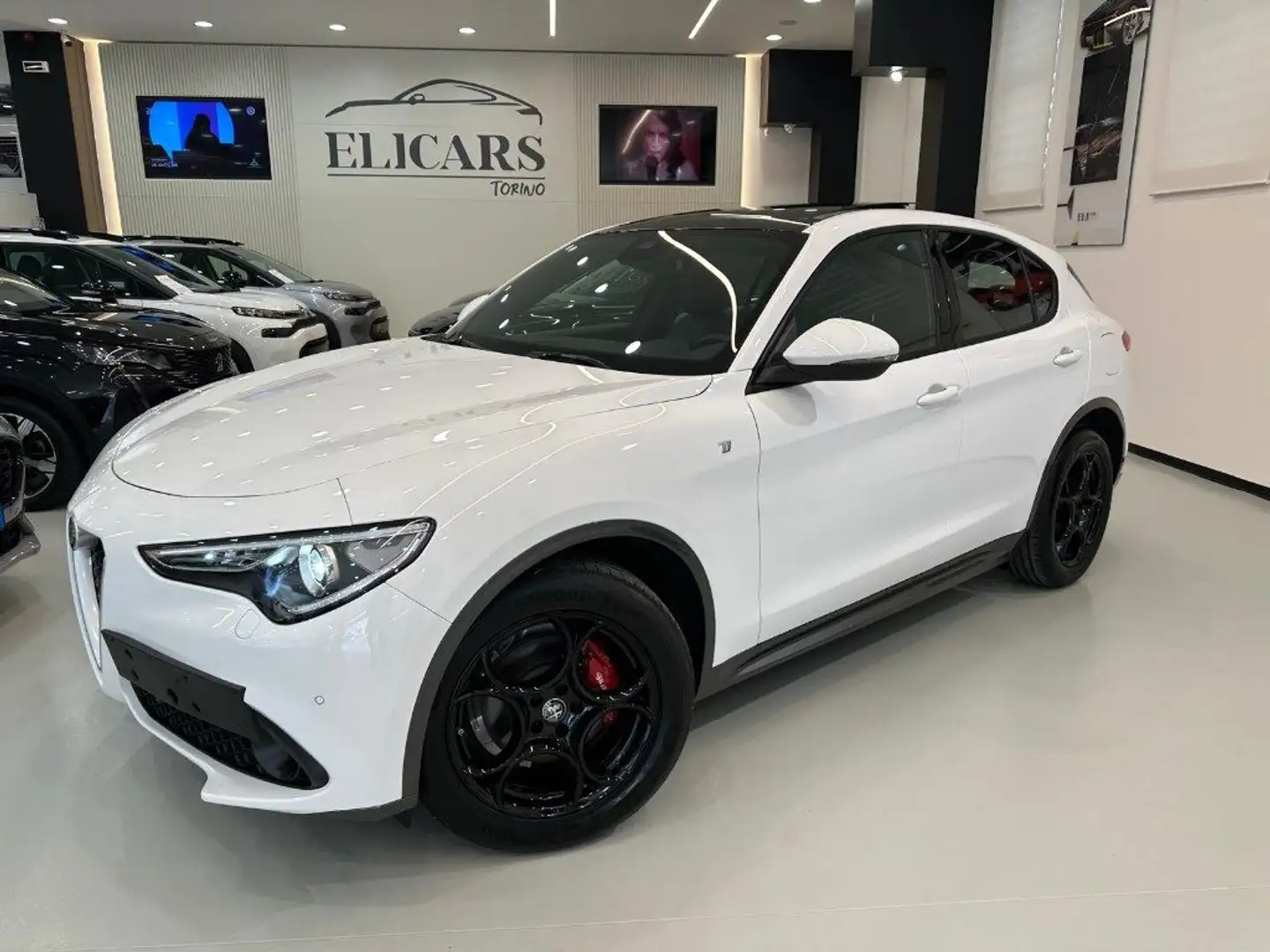 Alfa Romeo Stelvio 2.2 Turbodiesel 210 CV AT8 Q4 Ti Bianco - 1