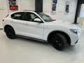 Alfa Romeo Stelvio 2.2 Turbodiesel 210 CV AT8 Q4 Ti Bianco - thumbnail 6