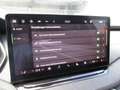 Skoda Octavia Selection TSI mHEV DSG Grau - thumbnail 9