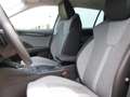 Skoda Octavia Selection TSI mHEV DSG Grau - thumbnail 8