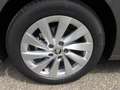 Skoda Octavia Selection TSI mHEV DSG Grau - thumbnail 14