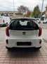 Kia Picanto 1.0 City 5p my13 - thumbnail 4