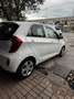 Kia Picanto 1.0 City 5p my13 - thumbnail 3