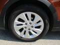 Suzuki SX4 S-Cross 1.0 DITC shine Aut. Apple CarPlay Android Auto Brun - thumbnail 24
