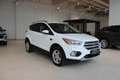 Ford Kuga 1,5 TDCi Titanium Start/Stop **Tolle Ausstattung** Weiß - thumbnail 1