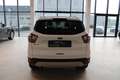Ford Kuga 1,5 TDCi Titanium Start/Stop **Tolle Ausstattung** Weiß - thumbnail 5