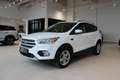 Ford Kuga 1,5 TDCi Titanium Start/Stop **Tolle Ausstattung** Weiß - thumbnail 3