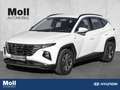 Hyundai TUCSON Select Mild-Hybrid 4WD 1.6 CRDi Mild Hybrid EU6d D Wit - thumbnail 1