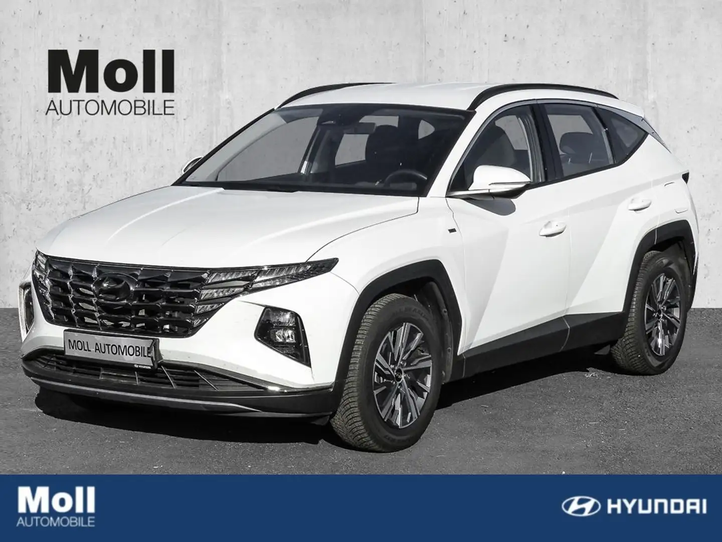 Hyundai TUCSON Select Mild-Hybrid 4WD 1.6 CRDi Mild Hybrid EU6d D Wit - 1