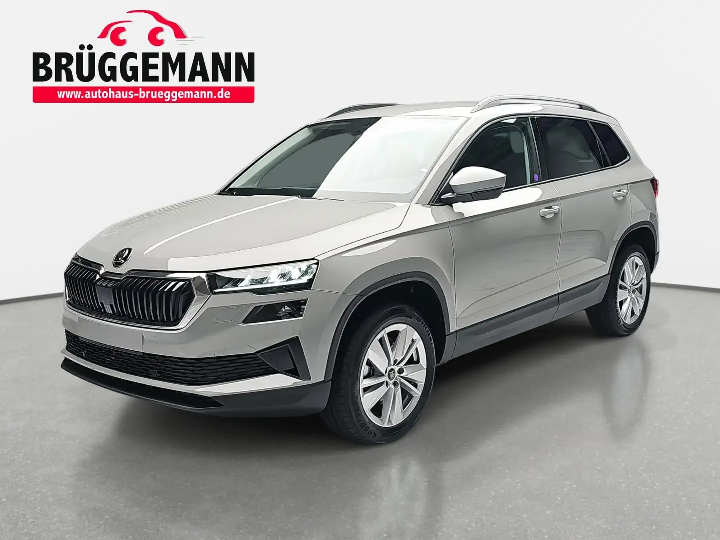 Skoda Karoq KAROQ 1.5 TSI DSG SELECTION NAVI LED ACC WINTER KA Grigio - 1