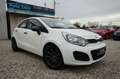 Kia Rio 1.2 |1.Hd| |KD lückenlos| |Inspektion NEU| Weiß - thumbnail 1