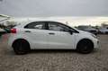 Kia Rio 1.2 |1.Hd| |KD lückenlos| |Inspektion NEU| Weiß - thumbnail 12