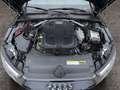 Audi A4 40 TDI quattro sport plus Aut. S-Line Virtual AHK Gris - thumbnail 14