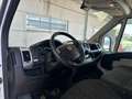 Fiat Ducato maxi Bianco - thumbnail 7