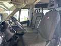 Fiat Ducato maxi Bianco - thumbnail 5