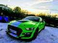 Ford Mustang Fastback 2.3 EcoBoost Aut. zelena - thumbnail 1