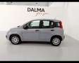 Fiat New Panda 1.2  Easy Grau - thumbnail 2