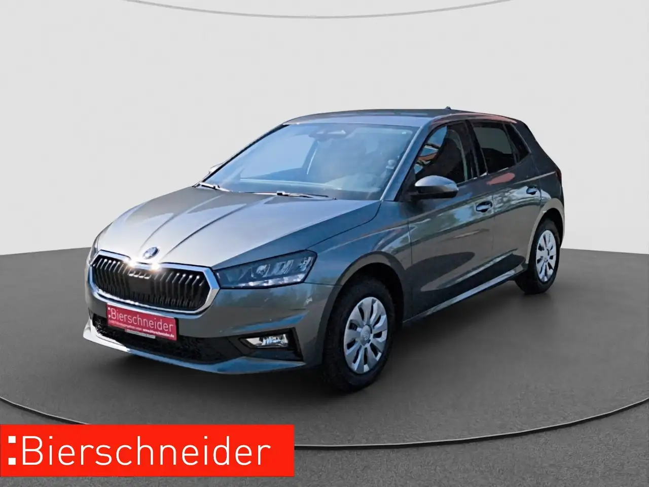 Skoda Fabia 1.0 TSI DSG Selection PDC SHZ LHZ LED — photo 1 of 15