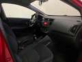 Kia Rio Rio III 2011 5p 1.2 LX Rosso - thumbnail 12