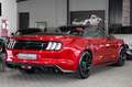 Ford Mustang Cabrio 5.0 Ti-VCT V8 GT|NAVI|GT-55 PAKET Rouge - thumbnail 7