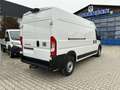Fiat Ducato KASTENWAGEN MAXI 35 L3H2 140 MT Alb - thumbnail 4