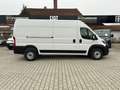 Fiat Ducato KASTENWAGEN MAXI 35 L3H2 140 MT Alb - thumbnail 2