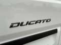 Fiat Ducato KASTENWAGEN MAXI 35 L3H2 140 MT Alb - thumbnail 29