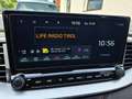Kia Ceed SW / cee'd SW 1,0Tgdi/mt6 Silber - thumbnail 7