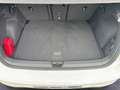 Volkswagen Golf 2.0 TDI SCR DSG R-Line Panorama-Ausstell-/S Weiß - thumbnail 12