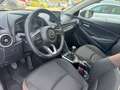 Mazda 2 1.5 90 CV Skyactiv-G M-Hybrid Evolve Rosso - thumbnail 15