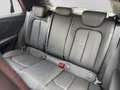Audi SQ2 2.0 TFSI quattro S line Alu19 MatrixLED Pano Rot - thumbnail 15