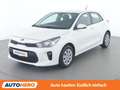 Kia Rio 1.2 Neon Weiß - thumbnail 1