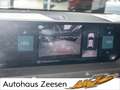 Citroen Brun - thumbnail 10