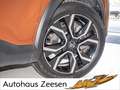 Citroen Brun - thumbnail 5