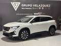 Renault Austral 1.2 full hybrid e-tech Techno 146kW Blanco - thumbnail 10