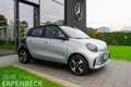 smart forFour smart EQ forfour Exclusive 22kW Panorama Kamera Silber - thumbnail 4