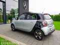 smart forFour smart EQ forfour Exclusive 22kW Panorama Kamera Silber - thumbnail 6