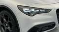 Alfa Romeo Stelvio 2.0 Competizione Q4 Aut. 280 Plateado - thumbnail 20