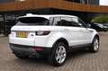 Land Rover Range Rover Evoque 2.0 TD4 HSE/Pano/Lane/Trekhaak/Stoelverwarming Blanco - thumbnail 6