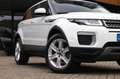 Land Rover Range Rover Evoque 2.0 TD4 HSE/Pano/Lane/Trekhaak/Stoelverwarming Blanco - thumbnail 13