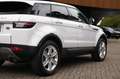 Land Rover Range Rover Evoque 2.0 TD4 HSE/Pano/Lane/Trekhaak/Stoelverwarming Blanco - thumbnail 14