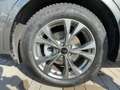 Ford Kuga ST-Line X LED+AHK+Glasdach+Kamera+SHZ Gris - thumbnail 20